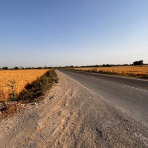 Agricultural Land Jhajjar Haryana 5 acres